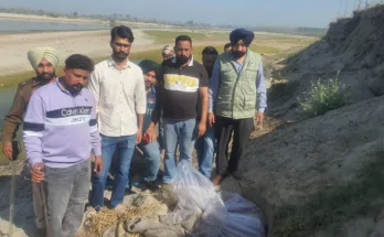 Teams seize 24000 kg Lahan in three villages alongside Sutlej