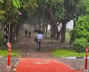 Light monsoon rains in Chandigarh and surrounding areas provide considerable relief from the scorching heat and humidity.