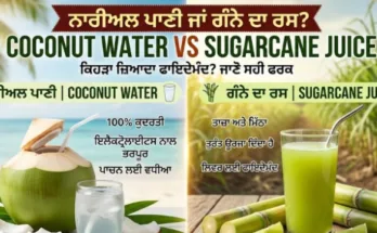 ਨਾਰੀਅਲ ਪਾਣੀ ਜਾਂ ਗੰਨੇ ਦਾ ਰਸ? ਕਿਹੜਾ ਜ਼ਿਆਦਾ ਫਾਇਦੇਮੰਦ?
