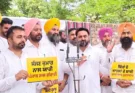 1984 ਦੇ ਸਿੱਖ ਵਿਰੋਧੀ ਦੰਗਿਆਂ ਦੇ ਦੋਸ਼ੀ ਸੱਜਣ ਕੁਮਾਰ ਨੂੰ ਸ਼ਰਧਾਂਜਲੀ ਦੇਣ ਵਾਲੇ ਭਾਜਪਾ ਆਗੂਆਂ ਖ਼ਿਲਾਫ਼ ਆਮ ਆਦਮੀ ਪਾਰਟੀ ਦਾ ਪੂਰੇ ਪੰਜਾਬ ਵਿੱਚ ਪ੍ਰਦਰਸ਼ਨ