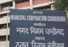 Chandigarh Municipal Corporation takes strict action: Preparations to ban green, yellow, red and other colored lights
