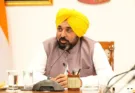 Chief Minister Bhagwant Singh Mann advocates working with CII to promote sustainable management of crop residues