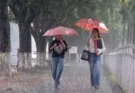 City Beautiful Chandigarh gets relief from scorching heat with heavy rain