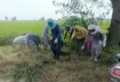 Financial Literacy Center organizes special camps under 'Swachhta Hi Seva' Fortnight