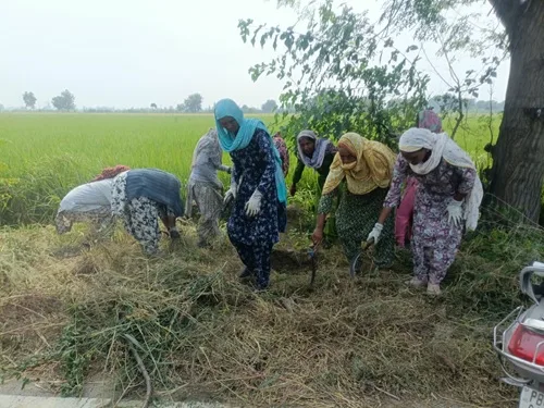 Financial Literacy Center organizes special camps under 'Swachhta Hi Seva' Fortnight