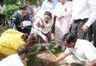 'Swachhta Hi Sewa-2026' campaign launched in Punjab*