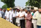 8.50 lakh metric tonnes of paddy has arrived in the grain markets of Punjab so far: Cabinet Minister Lal Chand Kataruchak