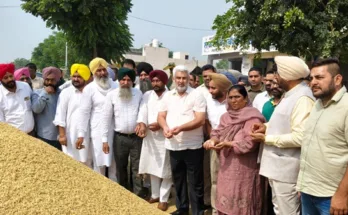 8.50 lakh metric tonnes of paddy has arrived in the grain markets of Punjab so far: Cabinet Minister Lal Chand Kataruchak