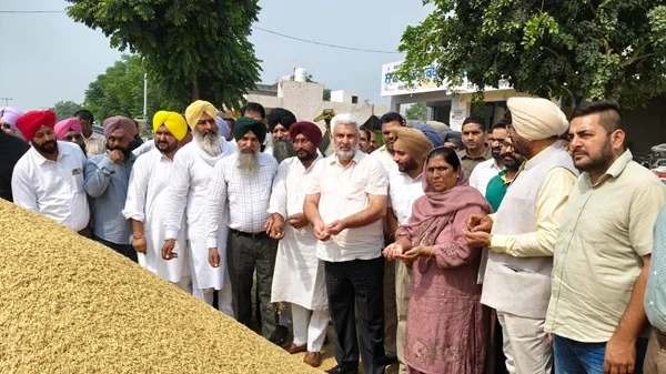 8.50 lakh metric tonnes of paddy has arrived in the grain markets of Punjab so far: Cabinet Minister Lal Chand Kataruchak