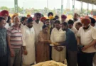 Cabinet Minister Dr. Baljit Kaur inaugurated the government procurement of paddy at Malout Mandi.