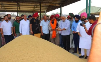 Cabinet Minister Lal Chand Kataruchak reviewed the procurement of paddy at Raiya Mandi