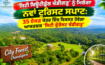 'City Beautiful Chandigarh' will get a new tourist spot: Attractive 'City Forest Chandigarh' will be developed in an area of 35 acres