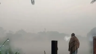Cold wave hits Haryana due to change in weather