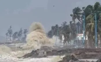 Cyclone 'Arnab' wreaks havoc in Andhra Pradesh
