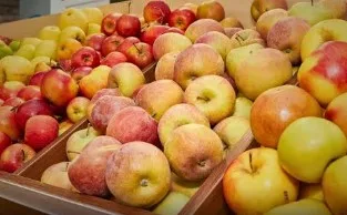 Keep these things in mind before buying apples