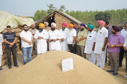 Mann government committed to buying every grain of farmers' crop: Deputy Speaker Raudi