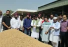 MLA Dr. Jamil Ur Rehman started government procurement of paddy at Grain Market Malerkotla