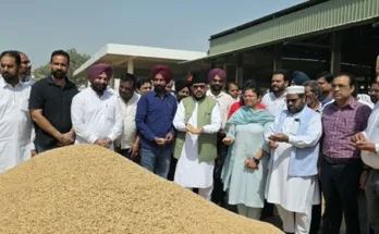 MLA Dr. Jamil Ur Rehman started government procurement of paddy at Grain Market Malerkotla