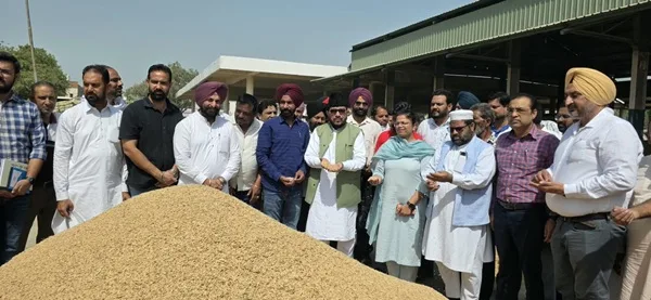 MLA Dr. Jamil Ur Rehman started government procurement of paddy at Grain Market Malerkotla