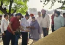 MLA Narinder Kaur Bharaj initiates paddy procurement in Sangrur and Bhawanigarh grain markets