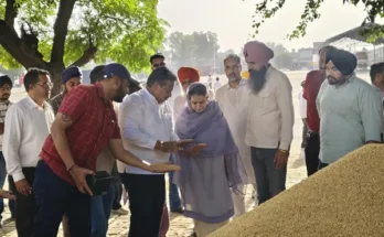 MLA Narinder Kaur Bharaj initiates paddy procurement in Sangrur and Bhawanigarh grain markets