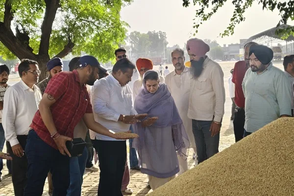 MLA Narinder Kaur Bharaj initiates paddy procurement in Sangrur and Bhawanigarh grain markets