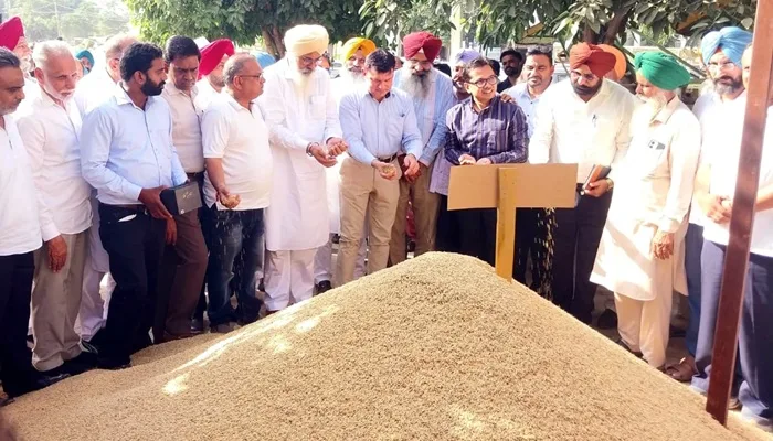 MLA S. Gurdit Singh Sekhon and DC Ruhal Chaba launched the government procurement of paddy in Faridkot Mandi
