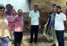 Municipal Corporation conducts special cleanliness drive under 'Mission Clean Punjab' on the occasion of Gandhi Jayanti