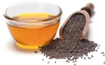 Mustard oil not only makes food taste delicious, but it is also a treasure trove of nutrients.