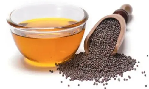 Mustard oil not only makes food taste delicious, but it is also a treasure trove of nutrients.