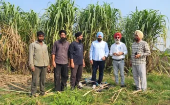 Need to adopt latest technologies to increase per hectare sugarcane yield: Cane Commissioner