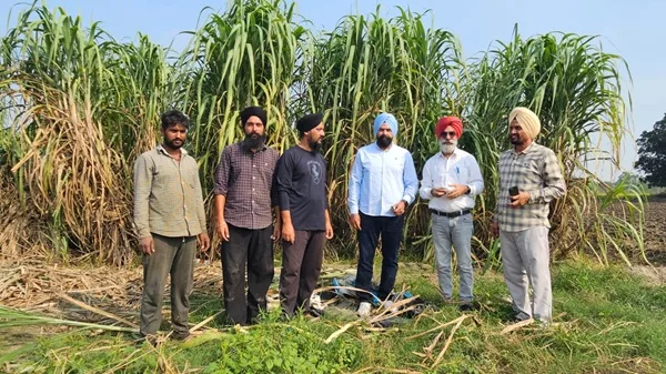 Need to adopt latest technologies to increase per hectare sugarcane yield: Cane Commissioner