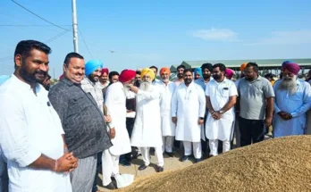 Paddy procurement initiated by Agriculture Minister Khudian at Mandi Panniwala, Alamwala and Midda