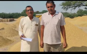 Paddy procurement and lifting continues uninterrupted in Dutaran Wali Mandi
