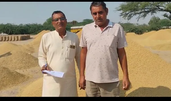 Paddy procurement and lifting continues uninterrupted in Dutaran Wali Mandi
