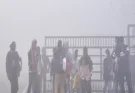 Pink cold hits Haryana, fog covers 5 districts