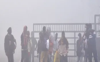 Pink cold hits Haryana, fog covers 5 districts