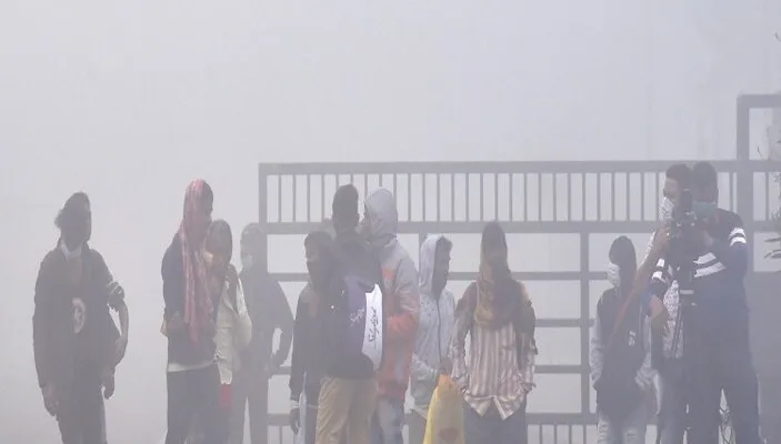 Pink cold hits Haryana, fog covers 5 districts