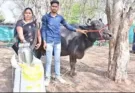 Special efforts are being made to connect farmers with dairy farming: Deputy Director