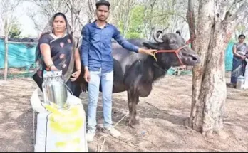 Special efforts are being made to connect farmers with dairy farming: Deputy Director