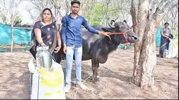 Special efforts are being made to connect farmers with dairy farming: Deputy Director