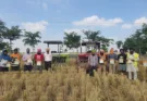 Wheat sowing begins in more than 100 acres of land with Happy Seeder and Super Seeder at Kirtowal Khurd village